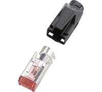 Renkforce H9561.4-10 Connecteur RJ45 TM21 CAT 6, blindé H9561.4-10 Connecteur mâle, droit Pôles : 8P8C noir 10 pcs.