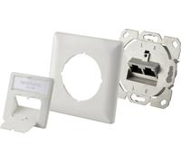 Renkforce Prise réseau encastré insert avec plaque centrale et châssis CAT 6a 2 ports blanc