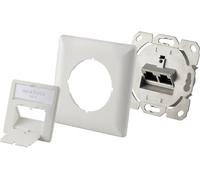 Renkforce Prise réseau encastré insert CAT 6 2 ports blanc pur