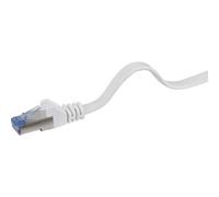 Renkforce RF-4149840 RJ45 Câble réseau, câble patch CAT 6a U/FTP 1.00 m gris très flexible, avec cliquet d'encastrement, ignifuge