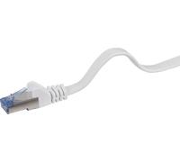 Renkforce RF-4149849 RJ45 Câble réseau, câble patch CAT 6a U/FTP 10.00 m gris très flexible, avec cliquet d'encastrement