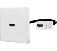 Renkforce RF-4538136 HDMI Adaptateur [1x HDMI femelle - 1x HDMI femelle] blanc contacts dorés 15.00 cm