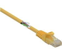 Renkforce RF-5224648 RJ45 Câble réseau, câble patch CAT 5e U/UTP 0.15 m jaune avec cliquet d'encastrement, sans halogène