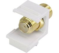 Renkforce Rf-ks-fkp Module Encastrable F Keystone 1 Pc(s) D947731