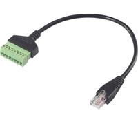 Renkforce RJ45 réseau informatique Câble adaptateur [1x RJ45 mâle 8P8C - 1x Raccordement par serrage] 30 cm noir