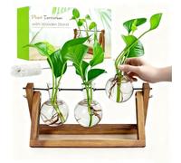 RENMXJ Station de Propagation de Plantes, Cadeaux pour Femme, décoration de Jardin (Vase à 3 bulbes)