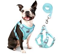 rennaio Harnais pour Chien Anti-tir, Harnais Réglable pour Chiot avec 2 Clips de Laisse, Harnais Réfléchissant et Ensemble de Laisse pour Chiens de Petite et Moyenne Taille (Cyan, M)