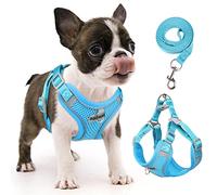Rennaio Harnais Anti-tir pour Chien, Réglable avec 2 Clips de Laisse, Réfléchissant pour Chiot de Petite et Moyenne Taille (Azuré, S)