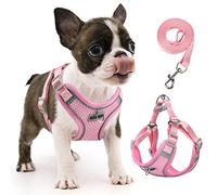 rennaio Harnais pour Chien Anti-tir, Harnais Réglable pour Chiot avec 2 Clips de Laisse, Harnais Réfléchissant et Ensemble de Laisse pour Chiens de Petite et Moyenne Taille (Rose, S)