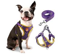 rennaio Harnais anti-traction pour chien - Harnais réglable avec 2 clips pour laisse, harnais rembourré ultra confortable, harnais et laisse réfléchissants pour chiens de petite et moyenne taille