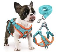 rennaio Harnais anti-traction pour chien - Harnais réglable avec 2 clips pour laisse, harnais rembourré ultra confortable, harnais et laisse réfléchissants pour chiens de petite et moyenne taille
