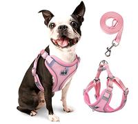 rennaio Harnais pour Chien Anti-tir, Harnais Réglable pour Chiot avec 2 Clips de Laisse, Harnais Réfléchissant et Ensemble de Laisse pour Chiens de Petite et Moyenne Taille (Rose, M)