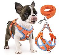 rennaio Harnais pour Chien Anti-tir, Harnais Réglable pour Chiot avec 2 Clips de Laisse, Harnais Réfléchissant et Ensemble de Laisse pour Chiens de Petite et Moyenne Taille (Orange, S)