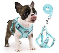 rennaio Harnais pour Chien Anti-tir, Harnais Réglable pour Chiot avec 2 Clips de Laisse, Harnais Réfléchissant et Ensemble de Laisse pour Chiens de Petite et Moyenne Taille (Cyan, S)