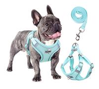 rennaio Harnais pour Chien Anti-tir, Harnais Réglable pour Chiot avec 2 Clips de Laisse, Harnais Réfléchissant et Ensemble de Laisse pour Chiens de Petite et Moyenne Taille (Cyan, L)