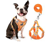 rennaio Harnais pour Chien Anti-tir, Harnais Réglable pour Chiot avec 2 Clips de Laisse, Harnais Réfléchissant et Ensemble de Laisse pour Chiens de Petite et Moyenne Taille (Citrouille, M)