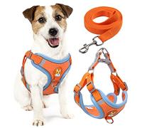 rennaio Harnais pour Chien Anti-tir, Harnais Réglable pour Chiot avec 2 Clips de Laisse, Harnais Réfléchissant et Ensemble de Laisse pour Chiens de Petite et Moyenne Taille (Orange, L)