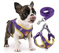 rennaio Harnais pour Chien Anti-tir, Harnais Réglable pour Chiot avec 2 Clips de Laisse, Harnais Réfléchissant et Ensemble de Laisse pour Chiens de Petite et Moyenne Taille (Violet, S)