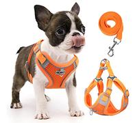 rennaio Harnais pour Chien Anti-tir, Harnais Réglable pour Chiot avec 2 Clips de Laisse, Harnais Réfléchissant et Ensemble de Laisse pour Chiens de Petite et Moyenne Taille (Citrouille, S)