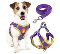rennaio Harnais pour Chien Anti-tir, Harnais Réglable pour Chiot avec 2 Clips de Laisse, Harnais Réfléchissant et Ensemble de Laisse pour Chiens de Petite et Moyenne Taille (Violet, L)