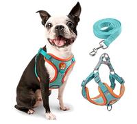 rennaio Harnais pour Chien Anti-tir, Harnais Réglable pour Chiot avec 2 Clips de Laisse, Harnais Réfléchissant et Ensemble de Laisse pour Chiens de Petite et Moyenne Taille (Bleu Vif, M)