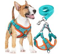 rennaio Harnais pour Chien Anti-tir, Harnais Réglable pour Chiot avec 2 Clips de Laisse, Harnais Réfléchissant et Ensemble de Laisse pour Chiens de Petite et Moyenne Taille (Bleu Vif, XL)