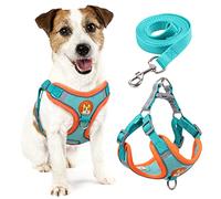 rennaio Harnais pour Chien Anti-tir, Harnais Réglable pour Chiot avec 2 Clips de Laisse, Harnais Réfléchissant et Ensemble de Laisse pour Chiens de Petite et Moyenne Taille (Bleu Vif, L)