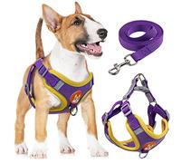 rennaio Harnais pour Chien Anti-tir, Harnais Réglable pour Chiot avec 2 Clips de Laisse, Harnais Réfléchissant et Ensemble de Laisse pour Chiens de Petite et Moyenne Taille (Violet, XL)