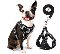 rennaio Harnais pour Chien Anti-tir, Harnais Réglable pour Chiot avec 2 Clips de Laisse, Harnais Réfléchissant et Ensemble de Laisse pour Chiens de Petite et Moyenne Taille (Noir, M)