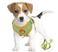 rennaio Harnais pour Chien Anti-tir, Harnais Réglable pour Chiot avec 2 Clips de Laisse, Harnais Réfléchissant et Ensemble de Laisse pour Chiens de Petite et Moyenne Taille (Gris, L)