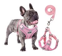 rennaio Harnais pour Chien Anti-tir, Harnais Réglable pour Chiot avec 2 Clips de Laisse, Harnais Réfléchissant et Ensemble de Laisse pour Chiens de Petite et Moyenne Taille (Rose, L)