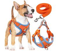 rennaio Harnais pour Chien Anti-tir, Harnais Réglable pour Chiot avec 2 Clips de Laisse, Harnais Réfléchissant et Ensemble de Laisse pour Chiens de Petite et Moyenne Taille (Orange, XL)