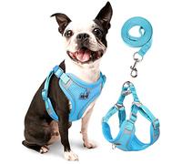 rennaio Harnais pour chien sans tractions, harnais réglable pour chiots avec 2 clips de laisse, harnais réfléchissant et jeu de laisse pour chiens de petite et moyenne taille (bleu clair, M)