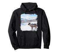 Renne, Faune, Animal, Arctique, Hiver, Neige, Paysage Sweat à Capuche