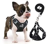 rennaio Harnais pour Chien Anti-tir, Harnais Réglable pour Chiot avec 2 Clips de Laisse, Harnais Réfléchissant et Ensemble de Laisse pour Chiens de Petite et Moyenne Taille (Noir, S)