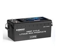 Renogy Batterie au lithium 12V 300Ah LiFePO4 avec auto-chauffage, 3840Wh 300A BMS 5000 cycles Batterie solaire sur 24V 48V Lithium pour installation solaire domestique, cabines de moteur, marine