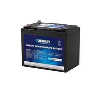 Renogy LiFePO4 Batterie au lithium 12 V 100 Ah avec Bluetooth, 150 A BMS 6000 cycles + cycles de batterie à cycle profond, batterie solaire 12 V 100 Ah pour moteur de trolling, cabine, marine