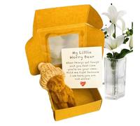 Renopfect Petit ours dans une boîte - Peluche d'ours - faite à la main avec poche pour message spécial cadeau bébé douche de bébé pour mamans petits Saint-Valentin Noël