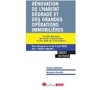 Rénovation de l'habitat dégradé et des grandes opérations immobilières Benjamin Naudin (Auteur), Patrice Battistini (Auteur)