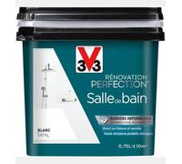 Rénovation Perfection Sanitaire Satin Blanc Pot 1l