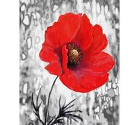 Renqidian 5D Diamant Peinture Par Numéro Kit Fleur rouge Diamond Art Crystal Parfait Pour la Décoration Murale D'un Adulte Ou D'un Enfant 40x50 cm