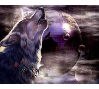 Renqidian 5D Diamant Peinture Par Numéro Kit Loup Diamond Art Crystal Parfait Pour la Décoration Murale D'un Adulte Ou D'un Enfant 40x50 cm