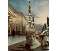 Renqidian Adulte Broderie Kit Point de Croix Coquelicots 11CT Kit Point de Croix Pré Imprimé Enfant Débutant Avec Fils Set Facile-40x50 cm