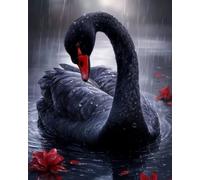 Renqidian Adulte Broderie Kit Point de Croix Cygne noir sous la pluie 11CT Kit Point de Croix Pré Imprimé Enfant Débutant Avec Fils Set Facile-40x50 cm