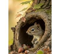 Renqidian Adulte Broderie Kit Point de Croix Écureuil dans un trou d'arbre 11CT Kit Point de Croix Pré Imprimé Enfant Débutant Avec Fils Set Facile-40x50 cm