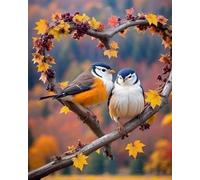 Renqidian Adulte Broderie Kit Point de Croix Oiseau cœur 11CT Kit Point de Croix Pré Imprimé Enfant Débutant Avec Fils Set Facile-40x50 cm