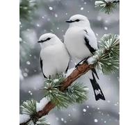 Renqidian Kit de Peinture Diamant Painting Adultes 5D Deux oiseaux Rond Diamond Painting Kit Complet, DIY Art Mosaique Maison Décoration 40x50 cm