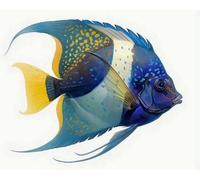 Renqidian Kit de Peinture Diamant Painting Adultes 5D Poissons tropicaux Rond Diamond Painting Kit Complet, DIY Art Mosaique Maison Décoration 40x50 cm