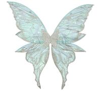 renvena Ailes Papillon Féérique En Dégradé Dor Et Grandes Ailes Dange Pour Une Fête Thématisée Dhalloween Et Des Costumes Fancy Dress Argent Taille unique