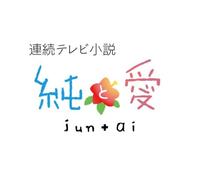 Renzoku TV Shousetsu Jun+Ai So [Import allemand]